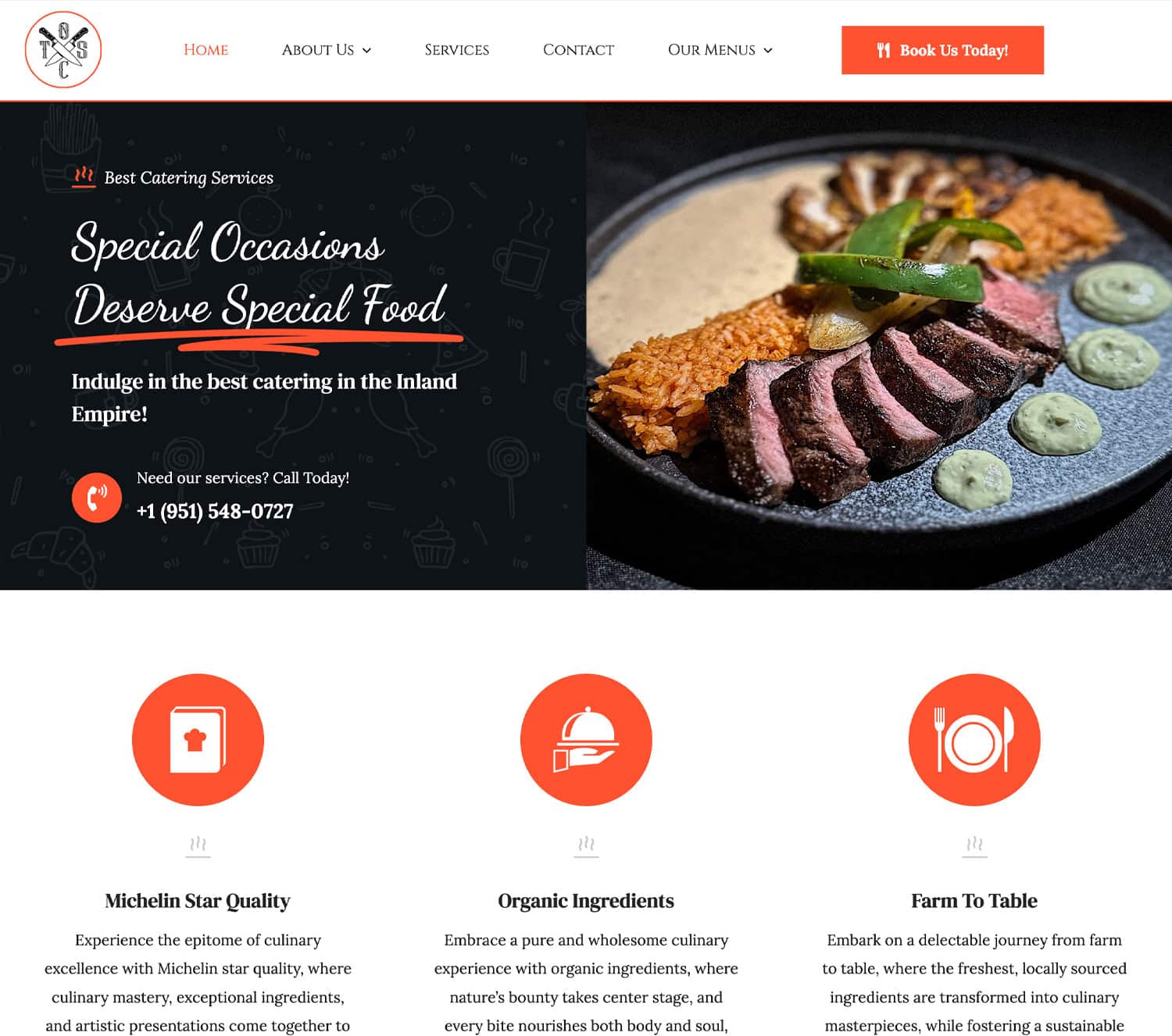 Plate of gourmet catering featuring sliced steak, rice, grilled vegetables, and sauces, showcasing OTS Catering's quality and presentation for special events.